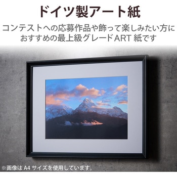 プリンター用紙 写真用紙 マット 写真用アートペーパー 厚手手 コピー用紙 ホワイト エレコム