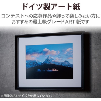 プリンター用紙 写真用紙 微光沢 写真用アートペーパー 印画紙 厚手 コピー用紙 ホワイト エレコム