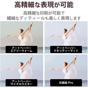 プリンター用紙 写真用紙 光沢 印画紙 最上級グレード紙 厚手 コピー用紙 ホワイト エレコム