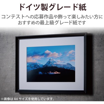 プリンター用紙 写真用紙 光沢 印画紙 最上級グレード紙 厚手 コピー用紙 ホワイト エレコム