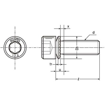 12.9GT-CAP(SA) - 大阪魂