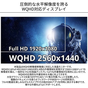 23.8型/2560×1440/HDMI、DP、DVI-I/ブラック JAPANNEXT