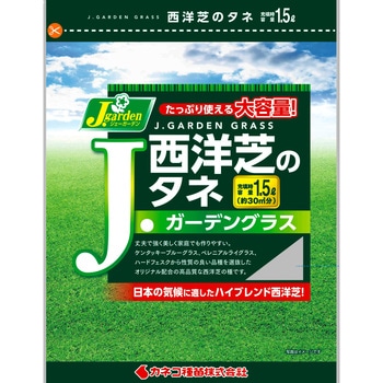 【タネ】西洋芝のタネ Jガーデングラス J.garden