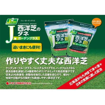 【タネ】西洋芝のタネ Jガーデングラス J.garden