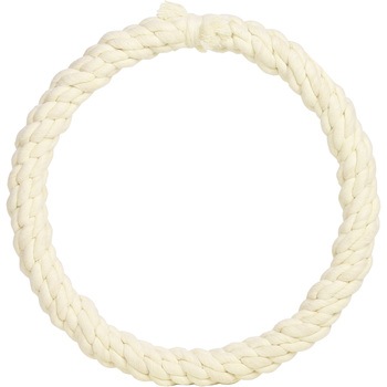 820-001 �R�b�g�����[�X SG Wonder zone 12872538