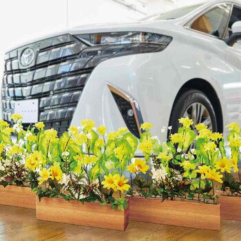 季節装飾(春の花)デラックス菜の花プランター(造花) ストア・エキスプレス