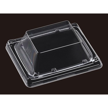 13-11 OPS T-vC ƍW GtsR 12975894