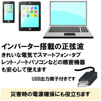 23907 カセットガスインバータ発電機 1台 Holiy 【通販モノタロウ】