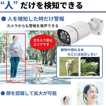 800万画素(4K)人検知AI付きPoEタイプNVR防犯カメラセット ブロードウォッチ
