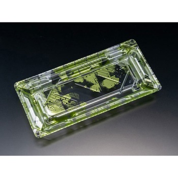 1-4B ݂ oCIPET gi XpbN 13019179