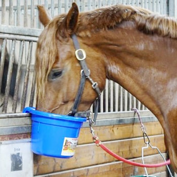円型フック付飼桶 Little Giant