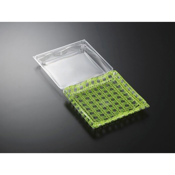 20-20 ���^��GN �t�[�h�p�b�N ���b�v�� �������w 13033854