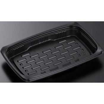 20-13 BK CT�f���g�b�v �g �������w �{�� 13035857