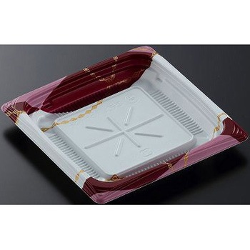 13-13A �p���XRB CT�� �g �������w �{�� 13036584