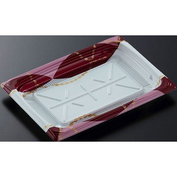 18-13A �p���XRB CT�� �g �������w �{�� 13036794