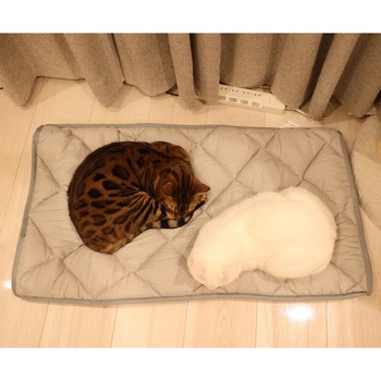 ふとんやの作ったペット用布団「キャットンネル」 ファミリー・ライフ