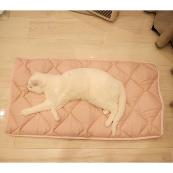 ふとんやの作ったペット用布団「キャットンネル」 ファミリー・ライフ
