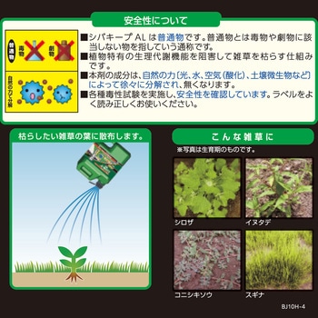 シバキープAL レインボー薬品