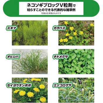 ネコソギブロックV粒剤 レインボー薬品