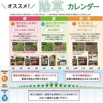 ネコソギトップF粒剤 レインボー薬品