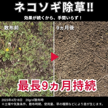 ネコソギトップF粒剤 レインボー薬品