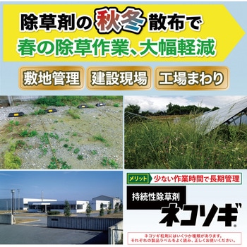 ネコソギトップF粒剤 レインボー薬品