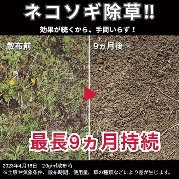 ネコソギトップF粒剤 レインボー薬品
