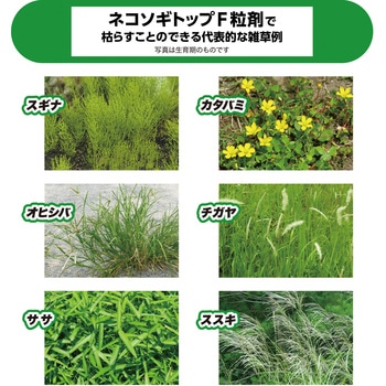 ネコソギトップF粒剤 レインボー薬品
