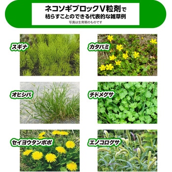 ネコソギブロックV粒剤 レインボー薬品