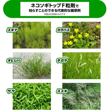 ネコソギトップF粒剤 レインボー薬品