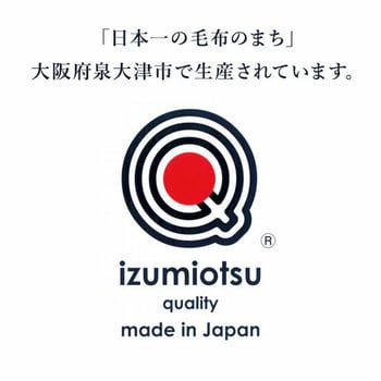 温泉毛布 吸湿発熱 シルキータッチ ベローナ 丸宗