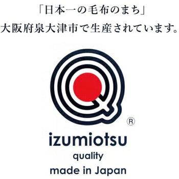 温泉毛布 フューチャー 遠赤外線繊維使用 丸宗