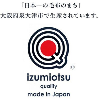温泉毛布 シルキータッチ ファータッチ ソフィア 丸宗