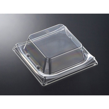 15-15(CAPG) CT�g�ˎM �W �������w 13047626