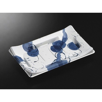 19-12 ���JB CT�g�ˎM �g �������w 13048789