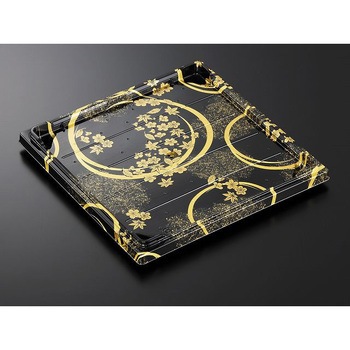 30-5 ����BK-BK HS�͂��܂� �g �������w 13049674