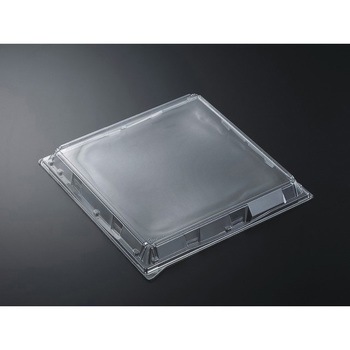 40-5 (CAPG) HSV W w 13050024