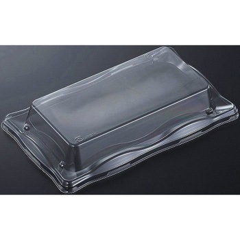 10-2 (CAPG)  W w 13050706