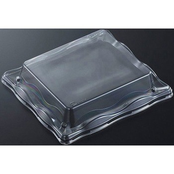 12-3 (CAPG)  W w 13050724