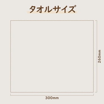 防災用ウェットタオル RABLISS