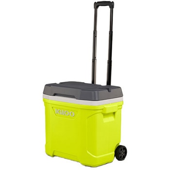 キャスター付き クーラーボックス 大型 ラティチュード30ローラー (28.5L) イグルー