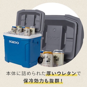 キャスター付き クーラーボックス 大型 ラティチュード30ローラー (28.5L) イグルー