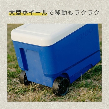 キャスター付き クーラーボックス 大型 ウィリークール38 (36L) イグルー