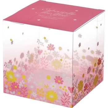 ピュアケースPNN 大森