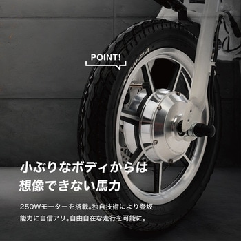 RICH BIT CITY 特定小型 ホワイト 翌営業日発送】RICHBIT CITY（スノーホワイト）電動バイク 特定