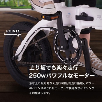RICHBIT CITY ASSIST(電動アシスト付自転車) RICH BIT
