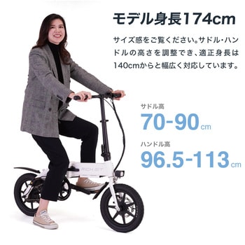 RICHBIT CITY ASSIST(電動アシスト付自転車) RICH BIT