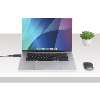 USB-C電流電圧チェッカー/双方向/240W PD EPR/DP Altモード USB PD 3.1対応/Type-C デジタル 電流電圧計 パワーメーター テスター StarTech.com