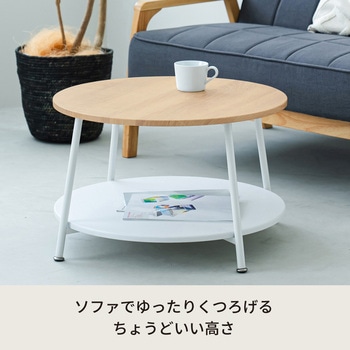ヴィンテージ棚付リビングテーブル 永井興産