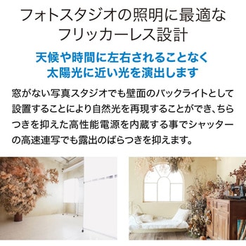 直管形LED20形/昼光色(6500K)/830lm/Ra97 消費電力：7.5W UVレスD65相当 JISクラス4対応 エコリカ